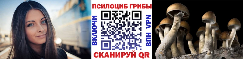 Купить где Лебедянь Галлюциногенные грибы MAGIC MUSHROOMS