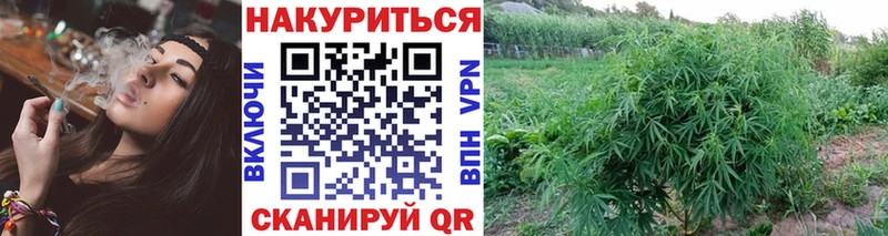 Канабис Bruce Banner  Купить где  Лебедянь 